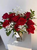 MODERN DOZEN IN RED