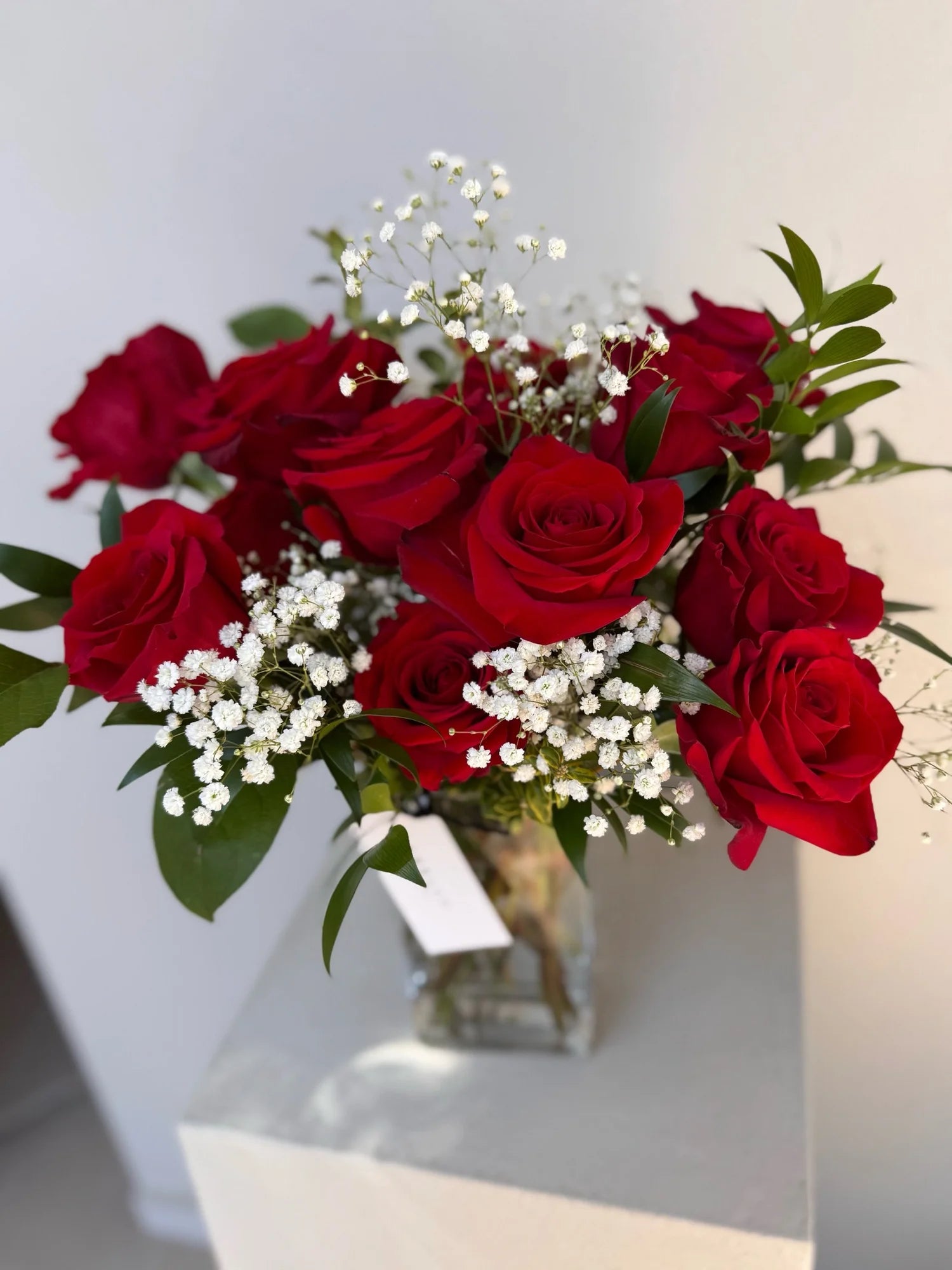 MODERN DOZEN IN RED