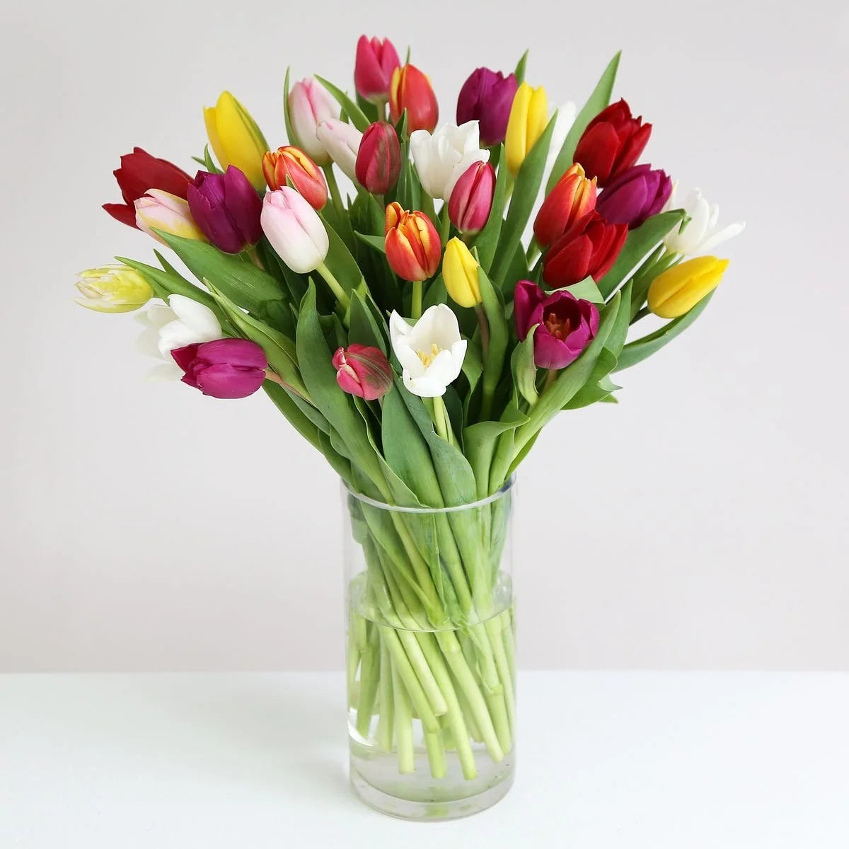 SPRING TULIPS