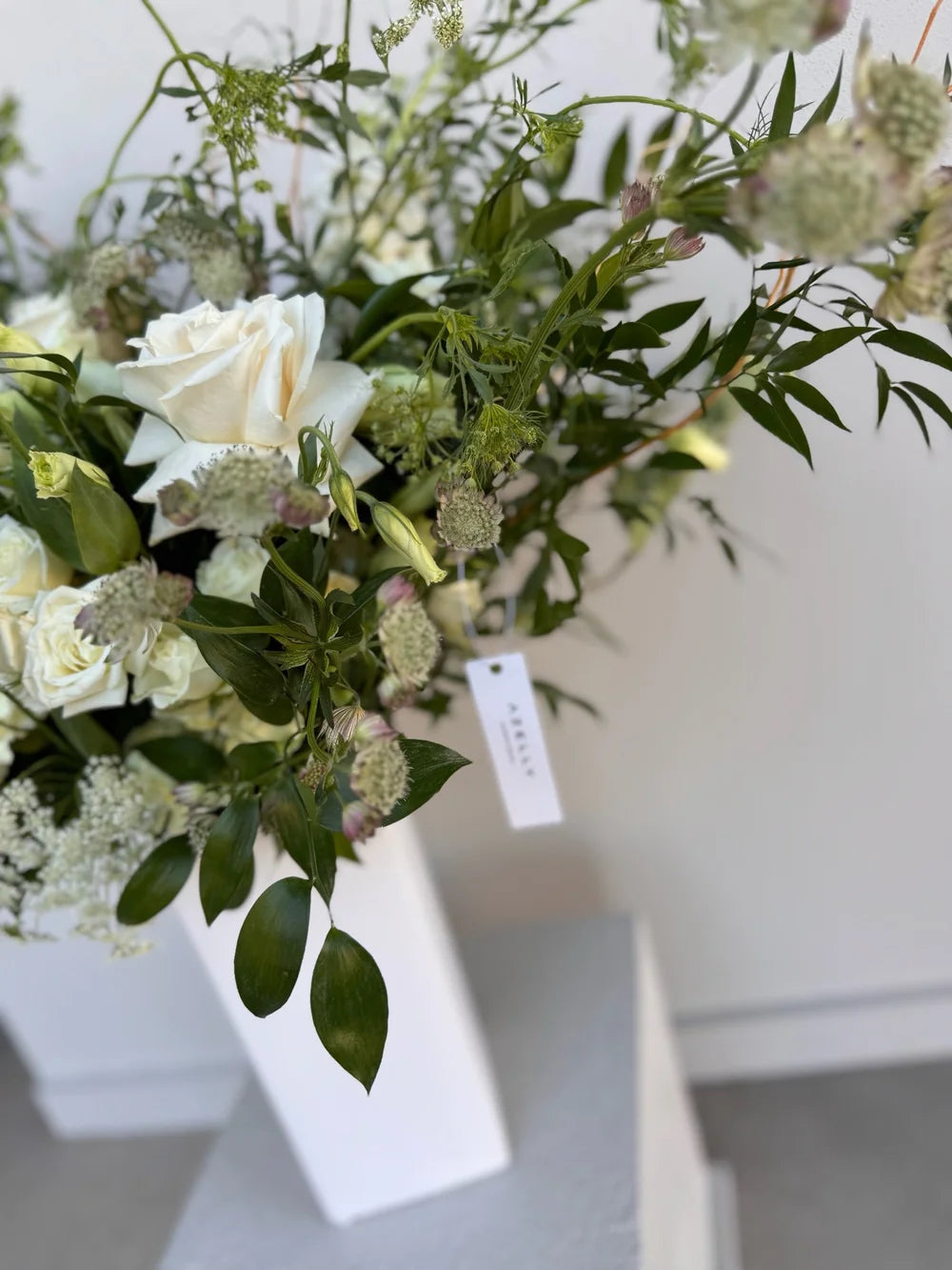 THE UNTAMED By Azelly Flowers — Gilbert, Arizona